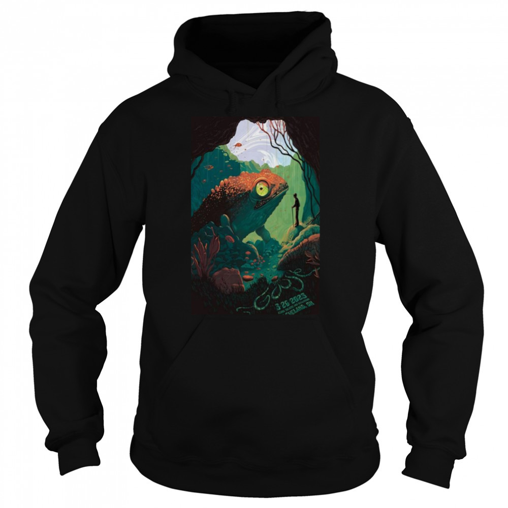 Hoodie shirts