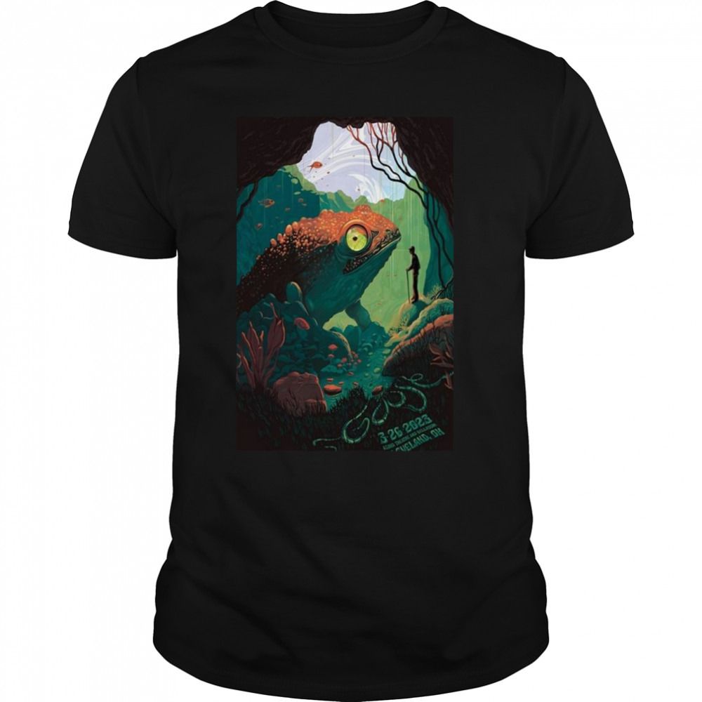 Unisex shirts