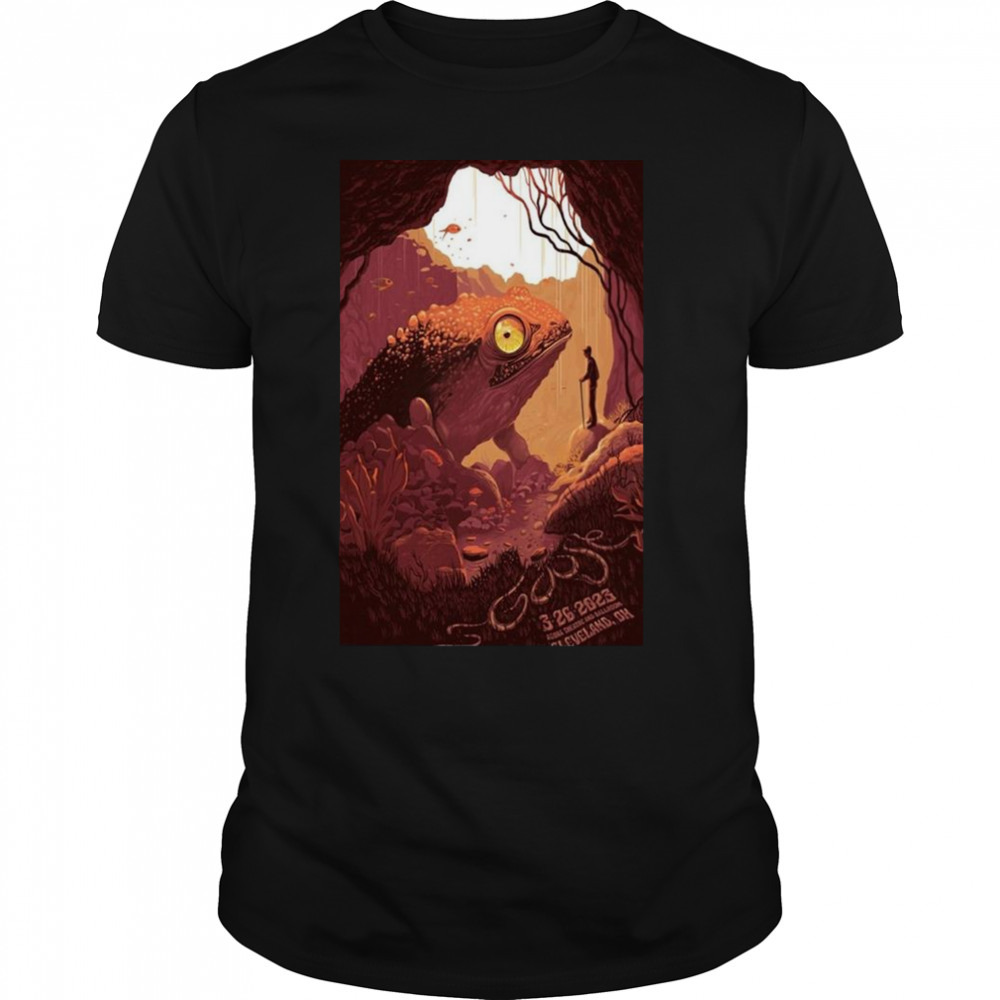 Unisex shirts