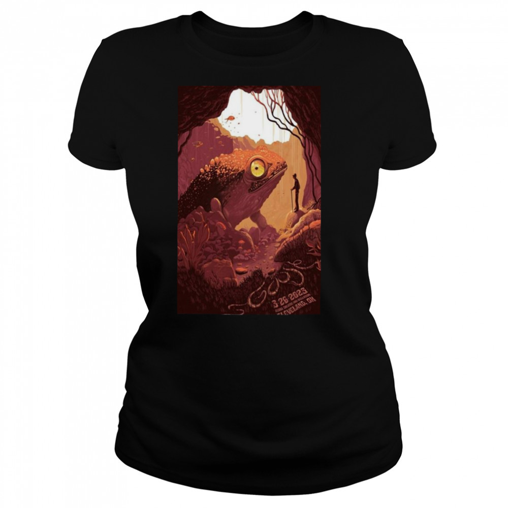 Women's shirts
