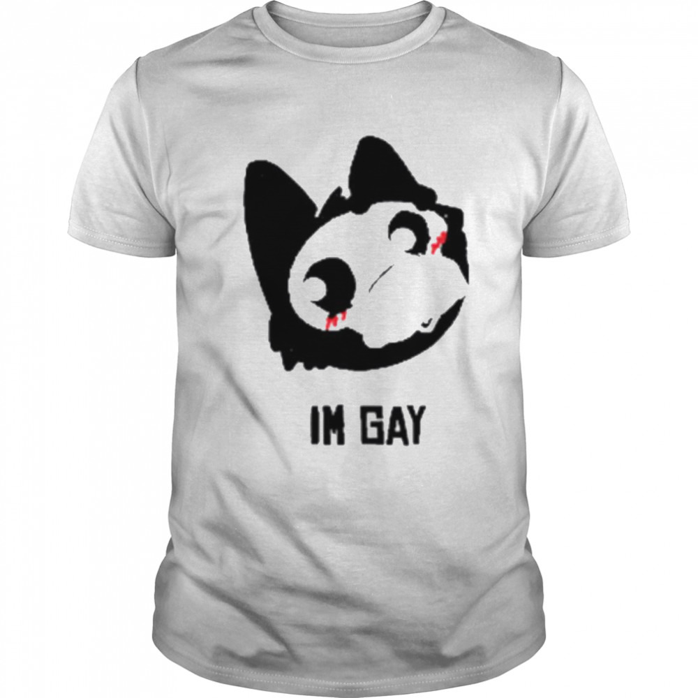 Finn and willow I’m gay shirt