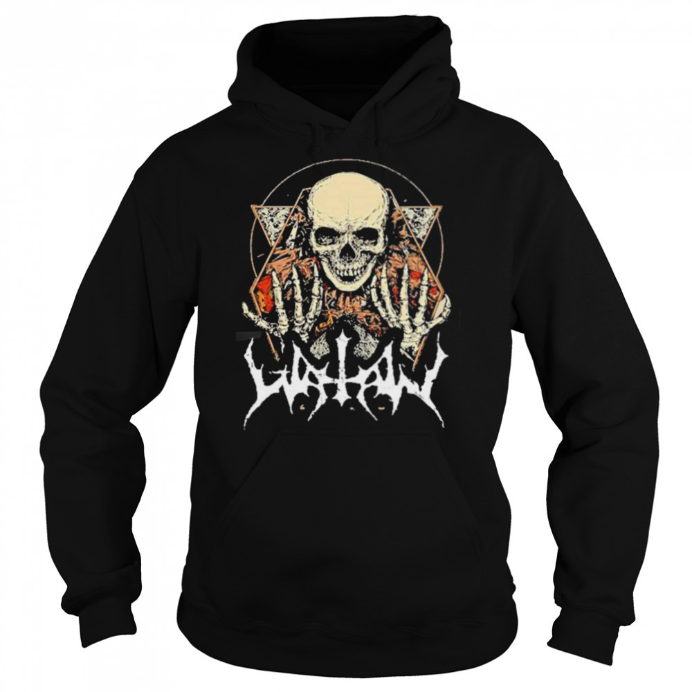 Hoodie shirts