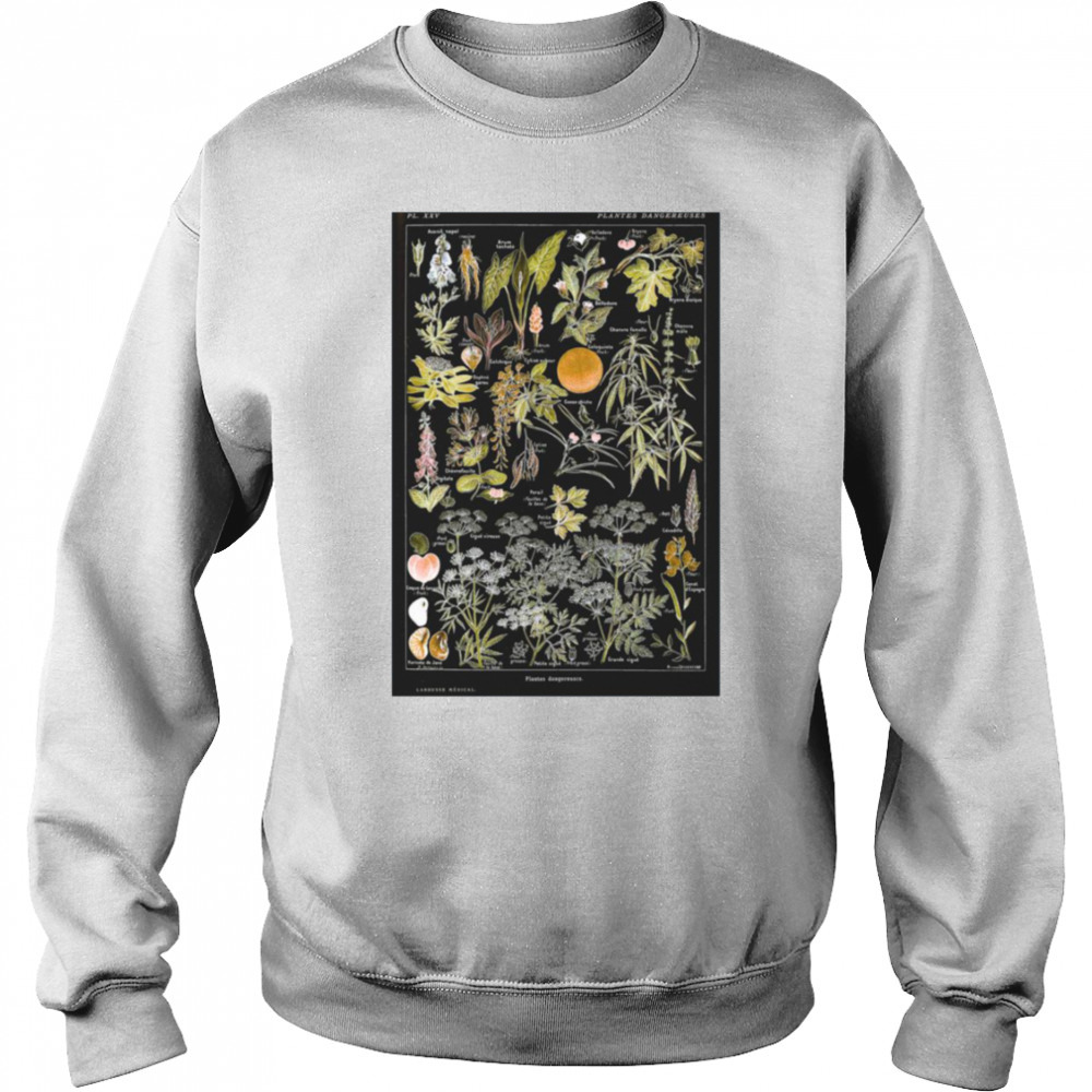 Sweat shirt