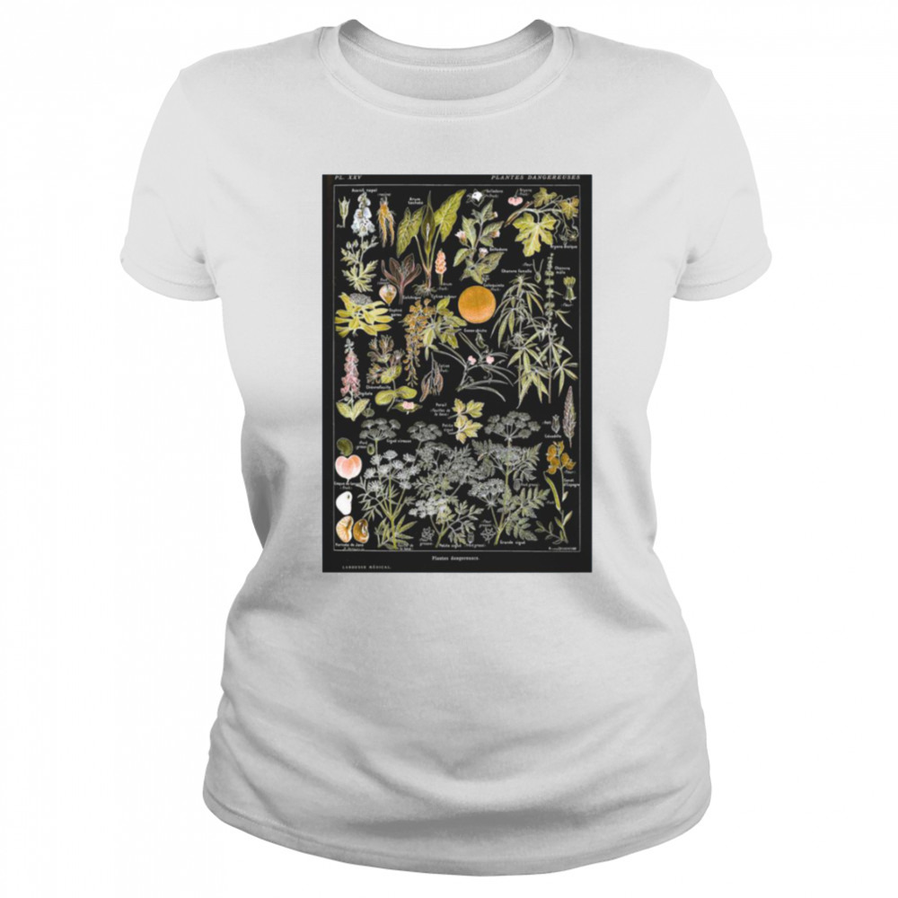 Women's shirt