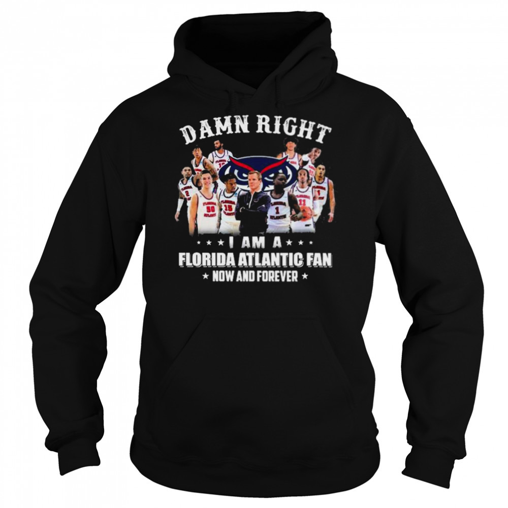 Hoodie shirts