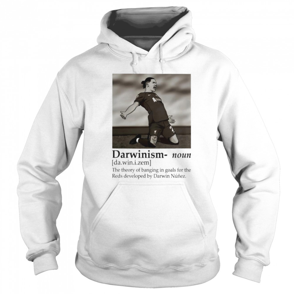 Hoodie shirt