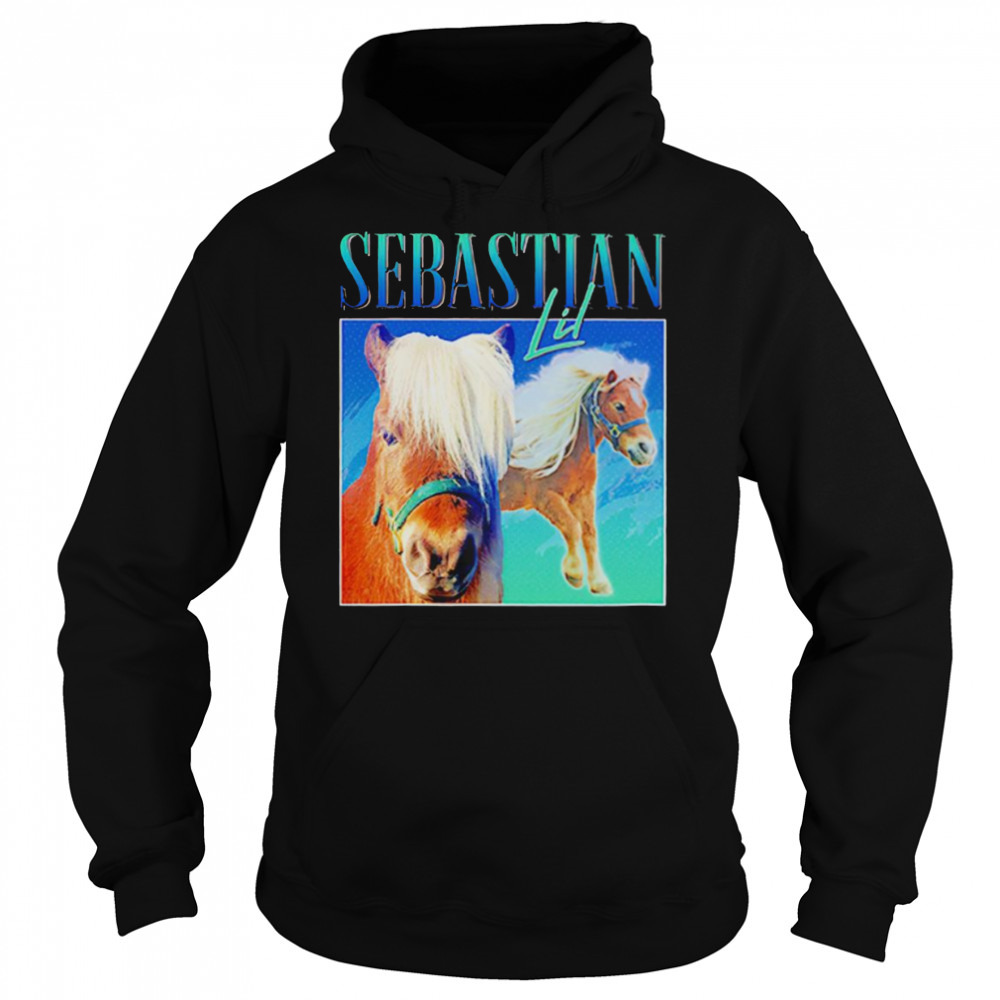 Hoodie shirts