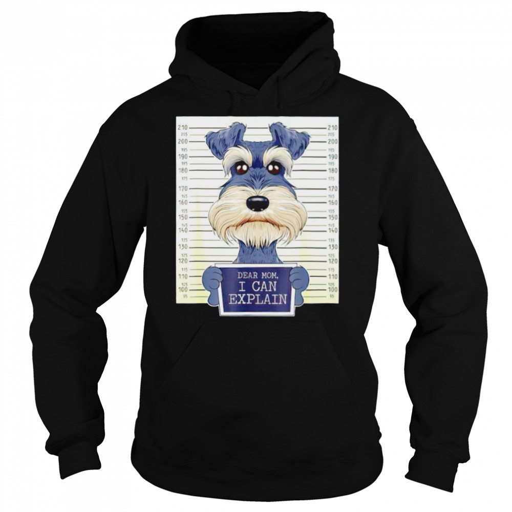 Hoodie shirts