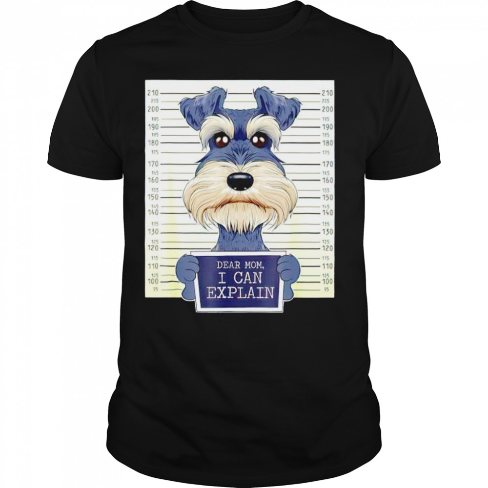 Unisex shirts