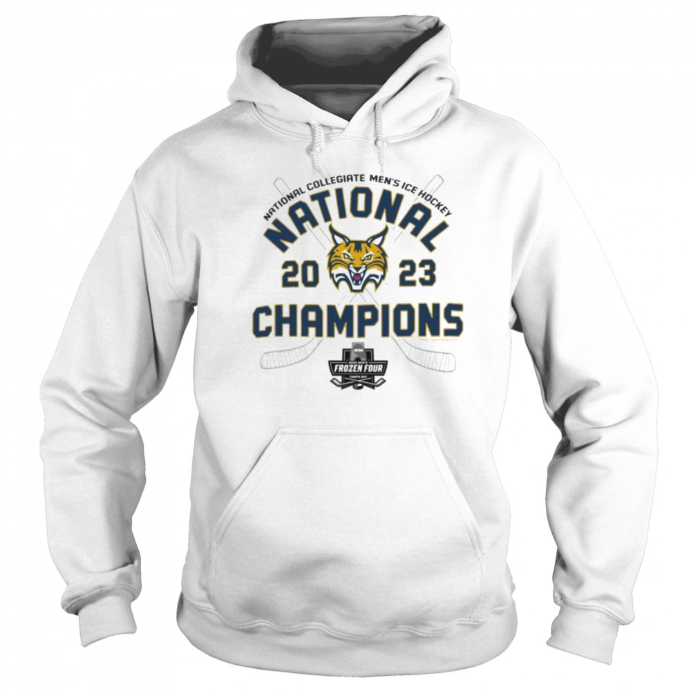 Hoodie shirt