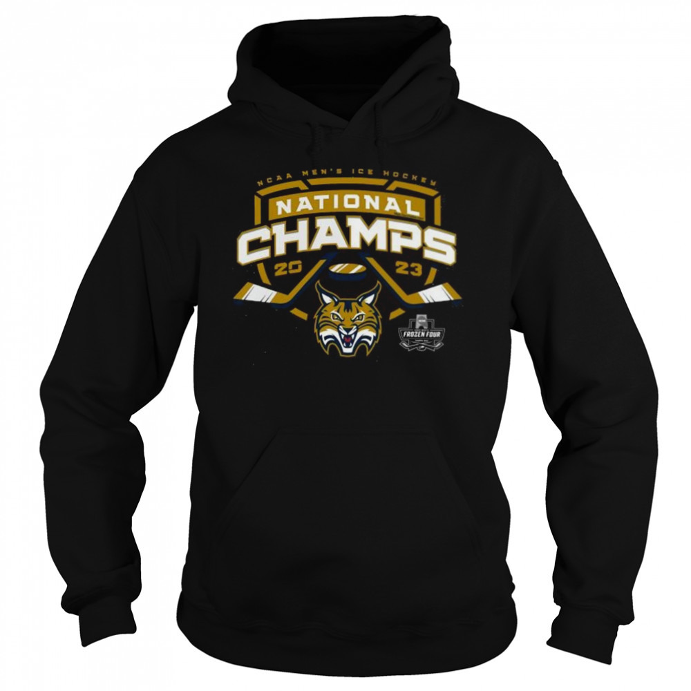 Hoodie shirts