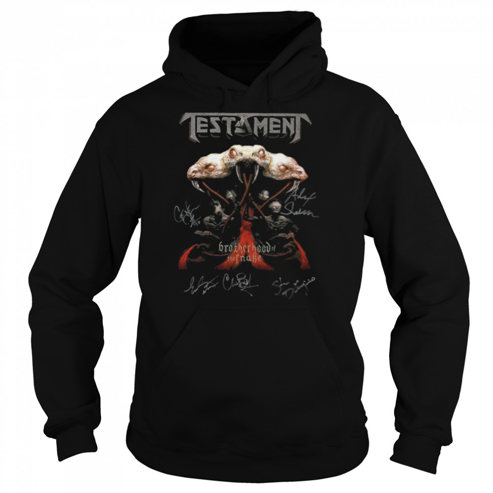 Hoodie shirts
