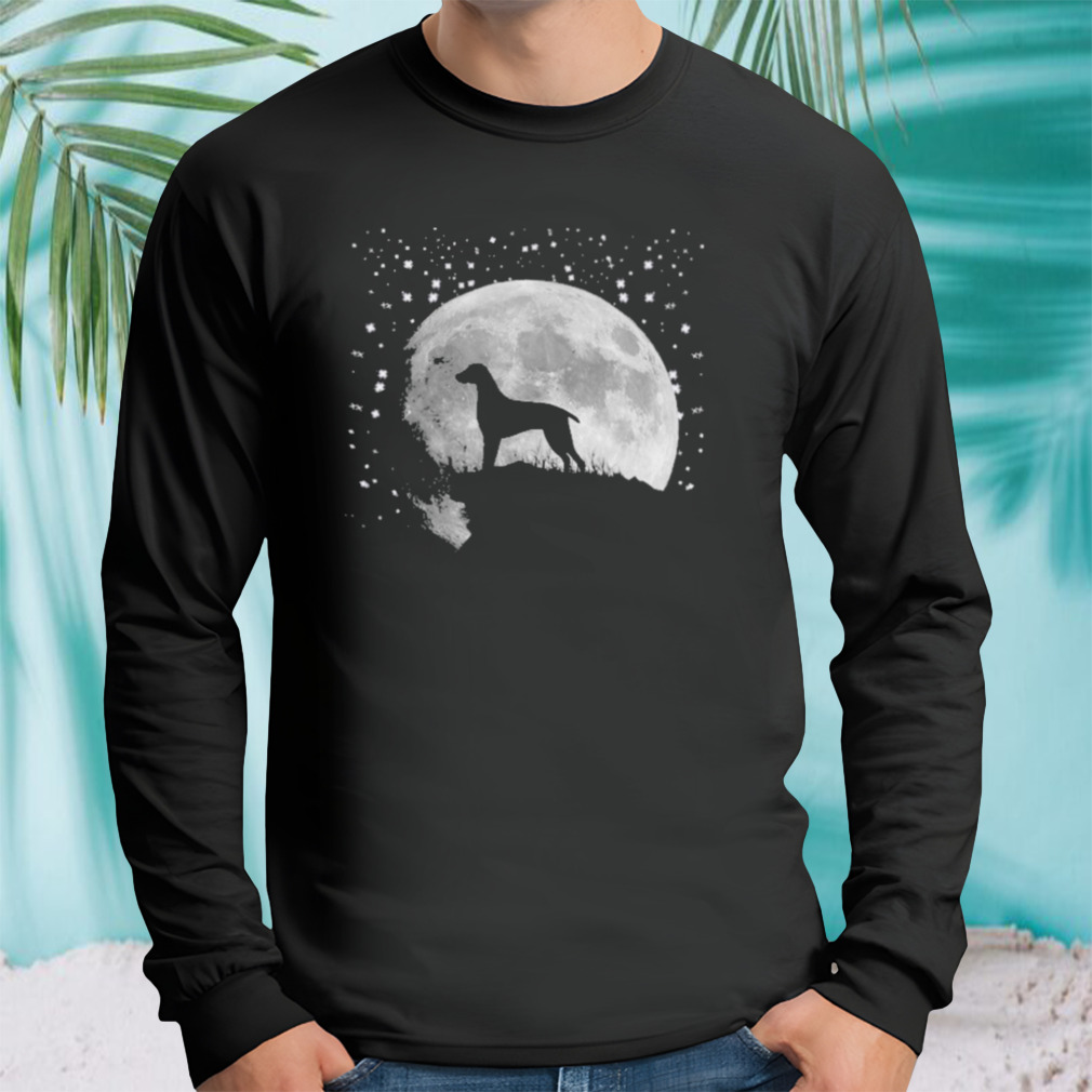 Longsleeve tshirt
