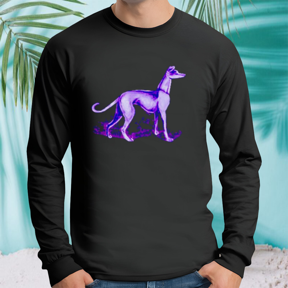 Longsleeve tshirt