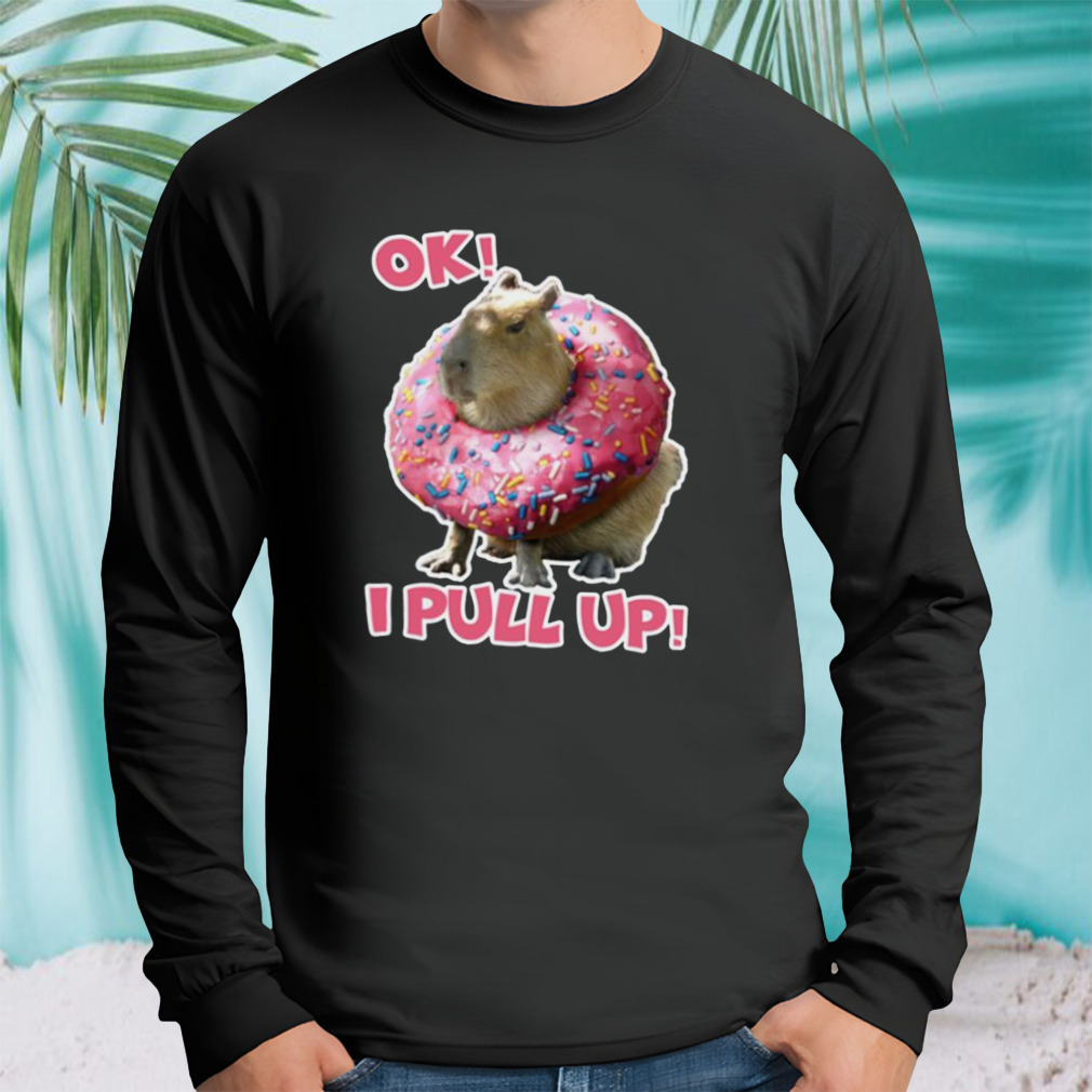 Longsleeve tshirt