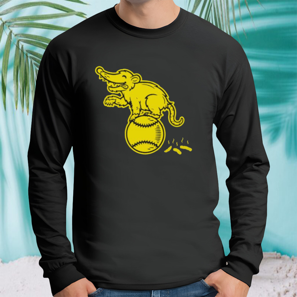 Longsleeve tshirt