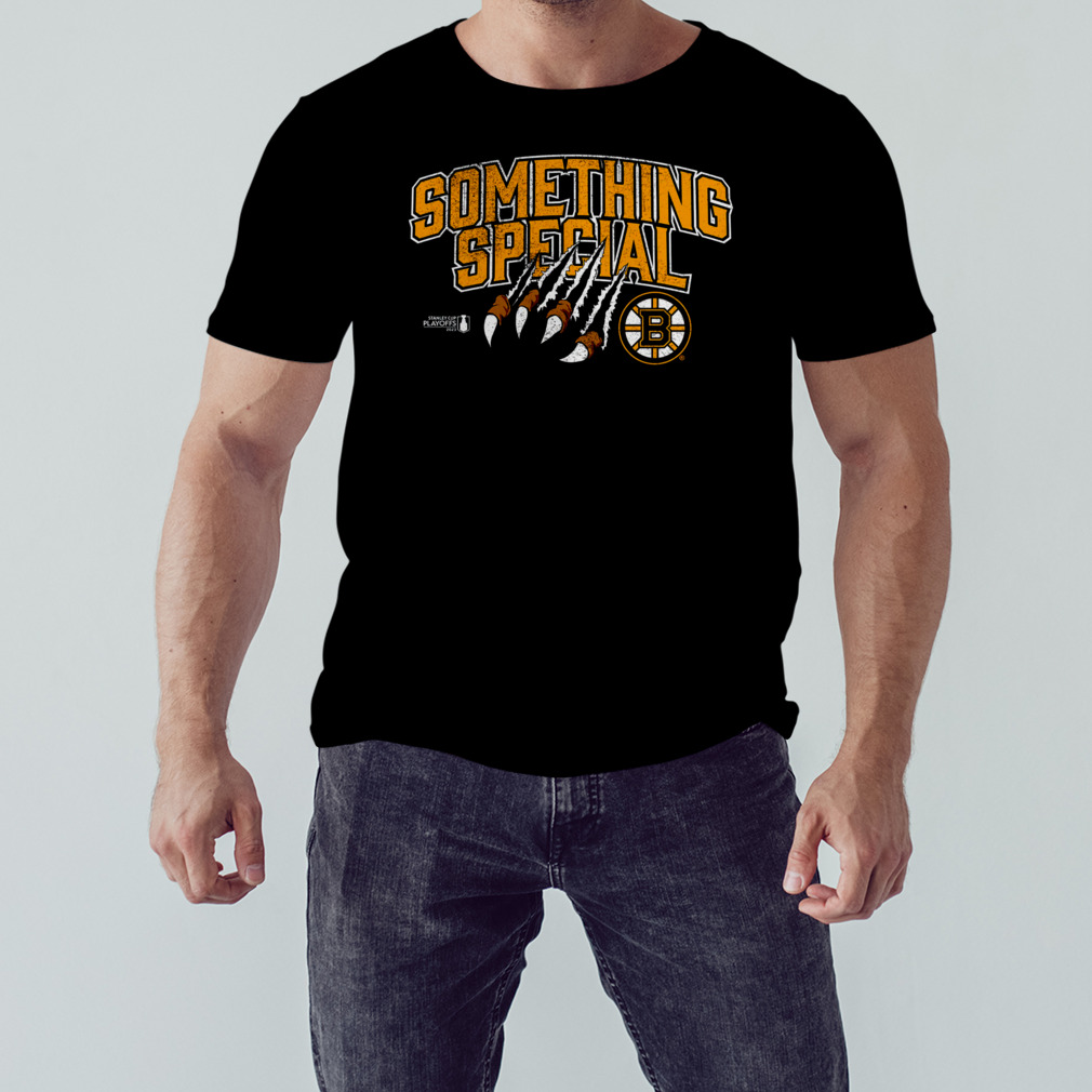 Boston Bruins 2023 Stanley Cup Playoffs Something Special shirt