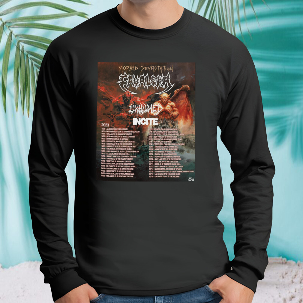Longsleeve tshirt