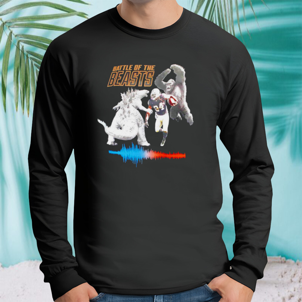 Longsleeve tshirt