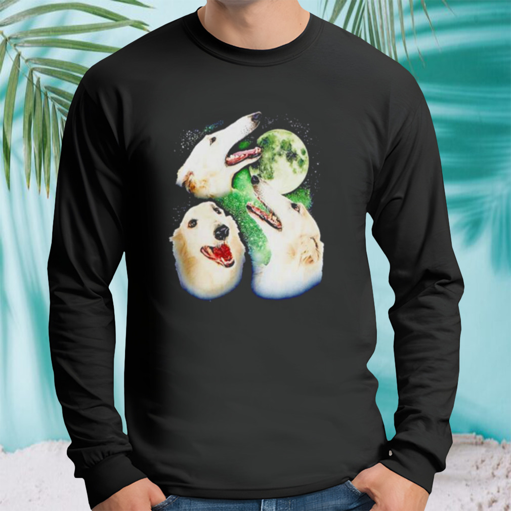 Longsleeve tshirt