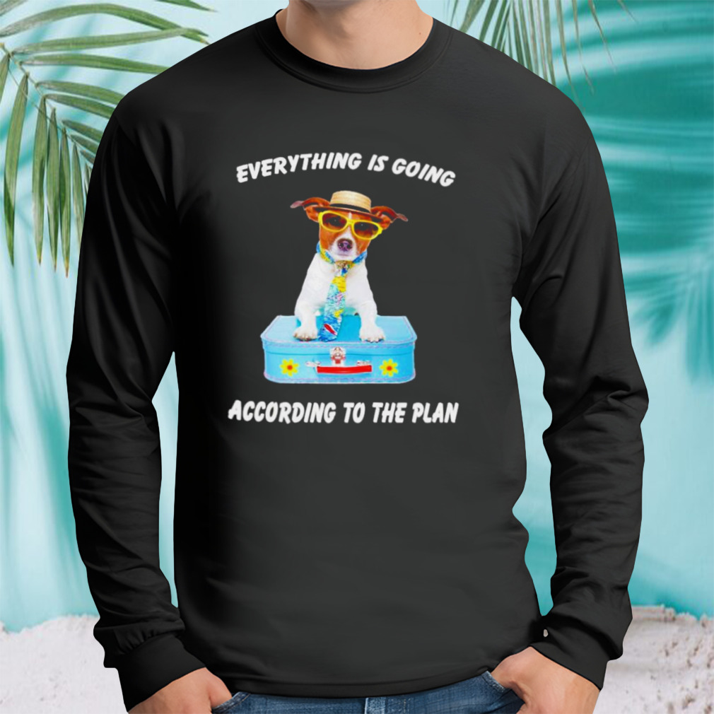 Longsleeve tshirt