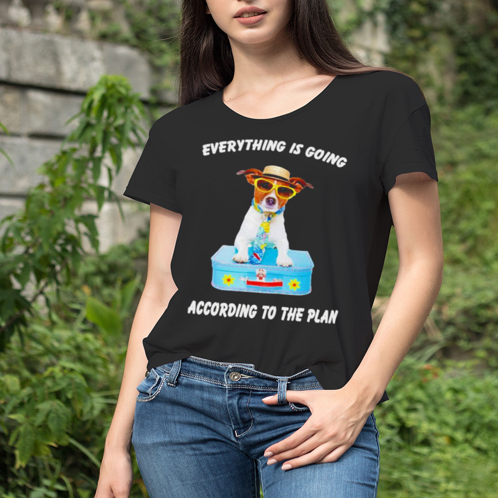 Women's tshirt