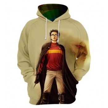 HARRY POTTER QUIDDITCH PULLOVER HOODIE