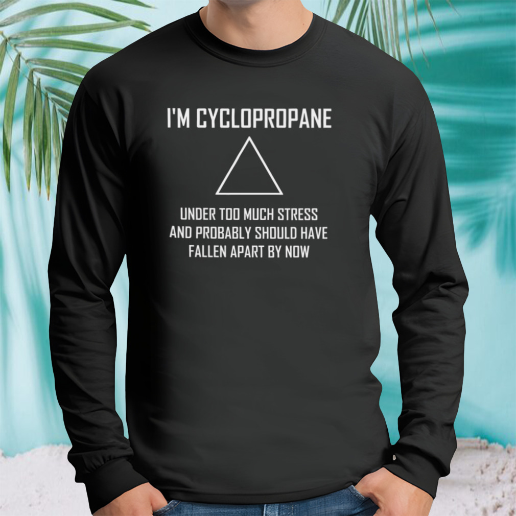 Longsleeve tshirt