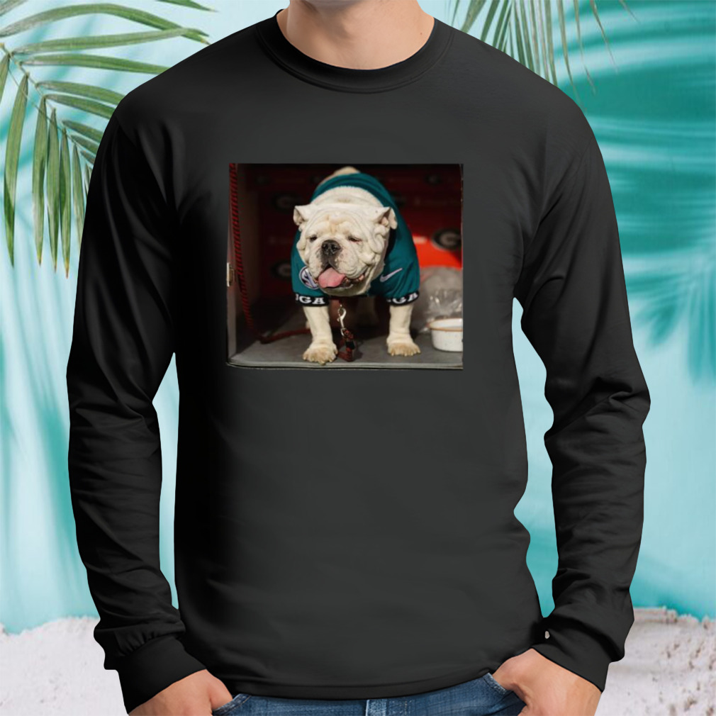 Longsleeve tshirt