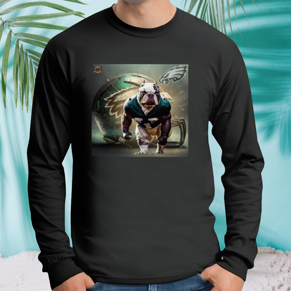 Longsleeve tshirt