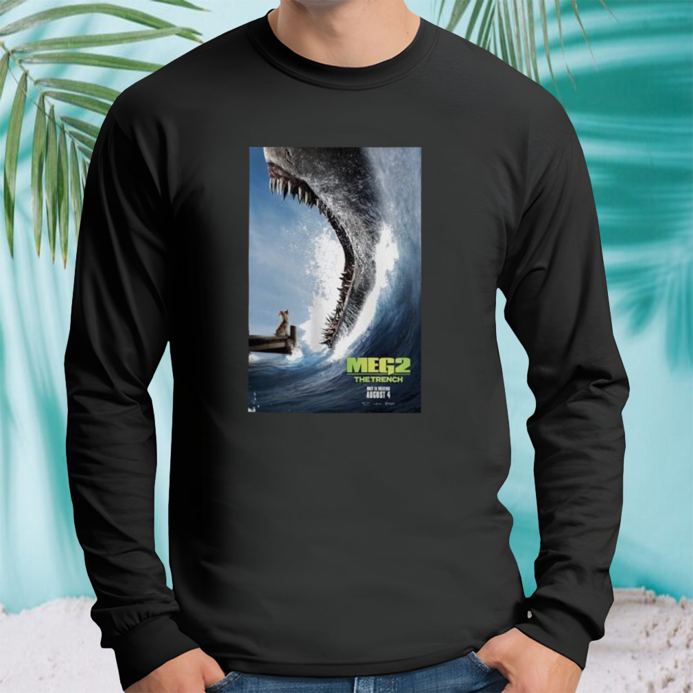 Longsleeve tshirt