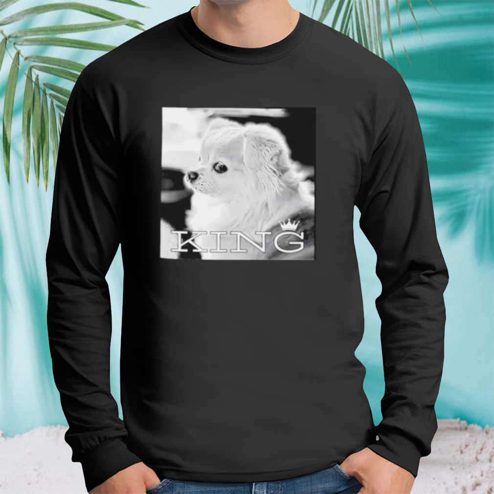 Longsleeve tshirt