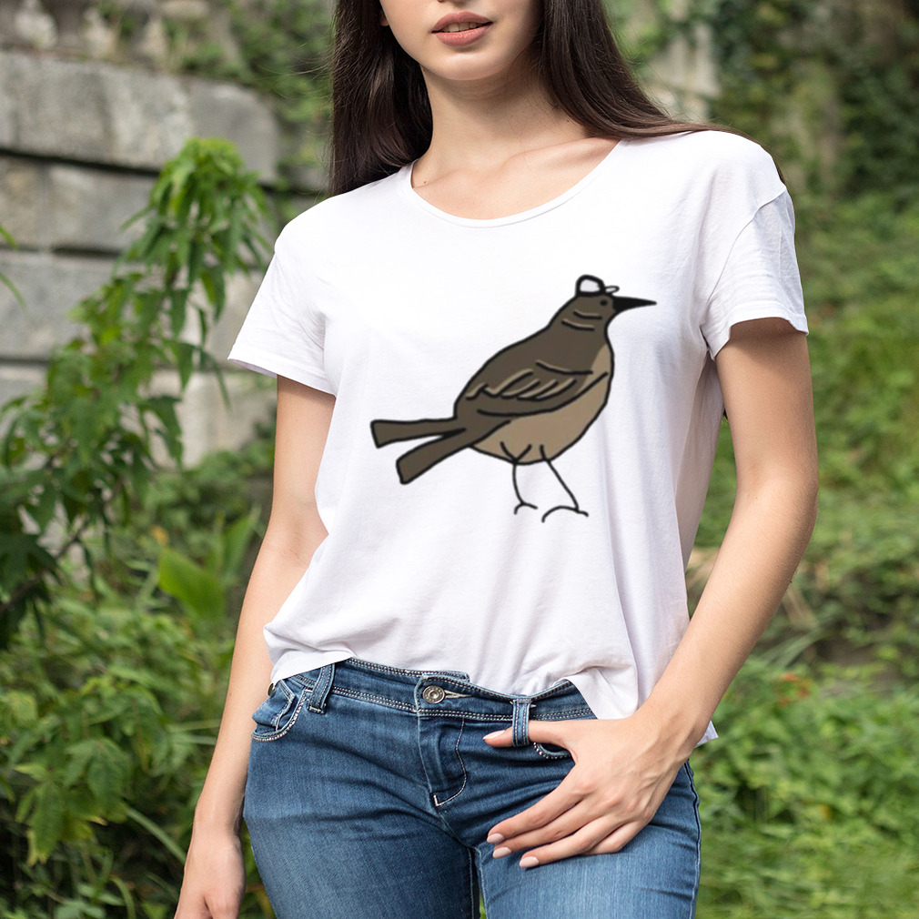 Women's shirt