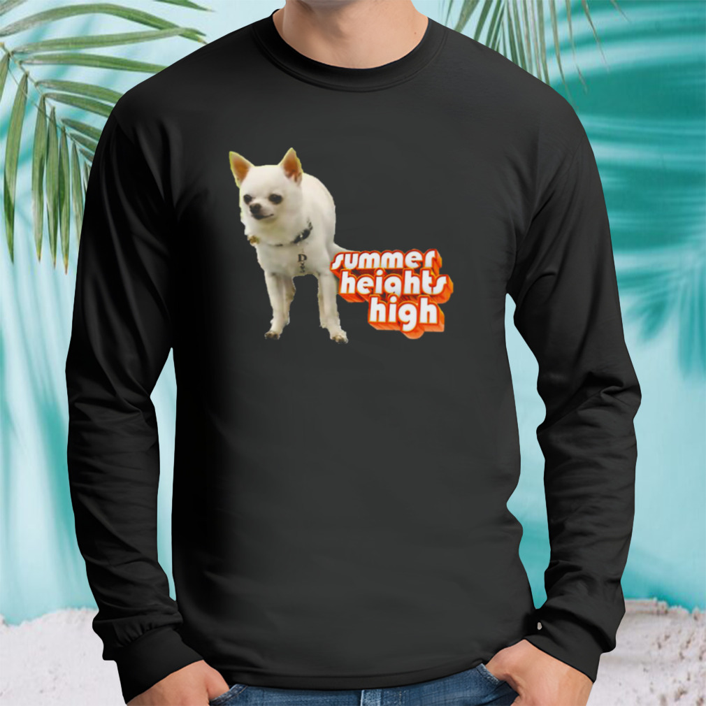 Longsleeve tshirt