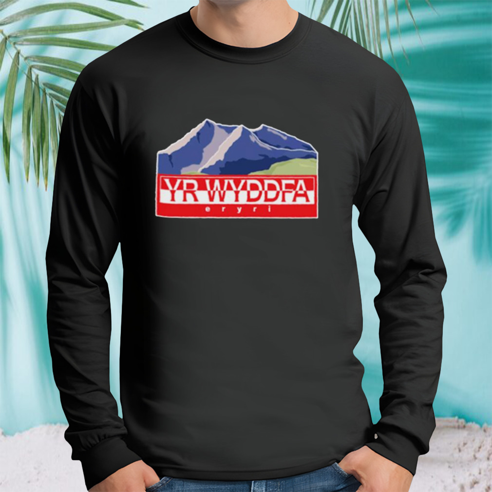 Longsleeve tshirt