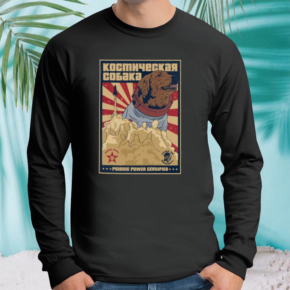 Longsleeve tshirt