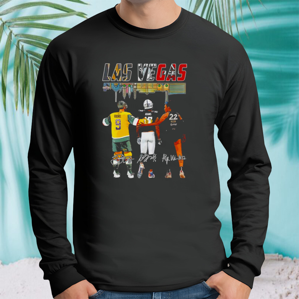 Longsleeve tshirt