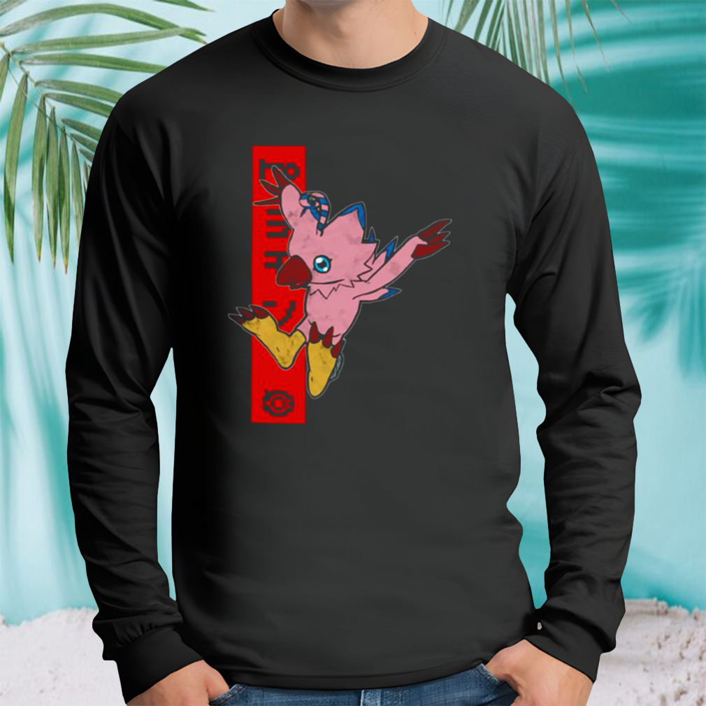 Longsleeve tshirt