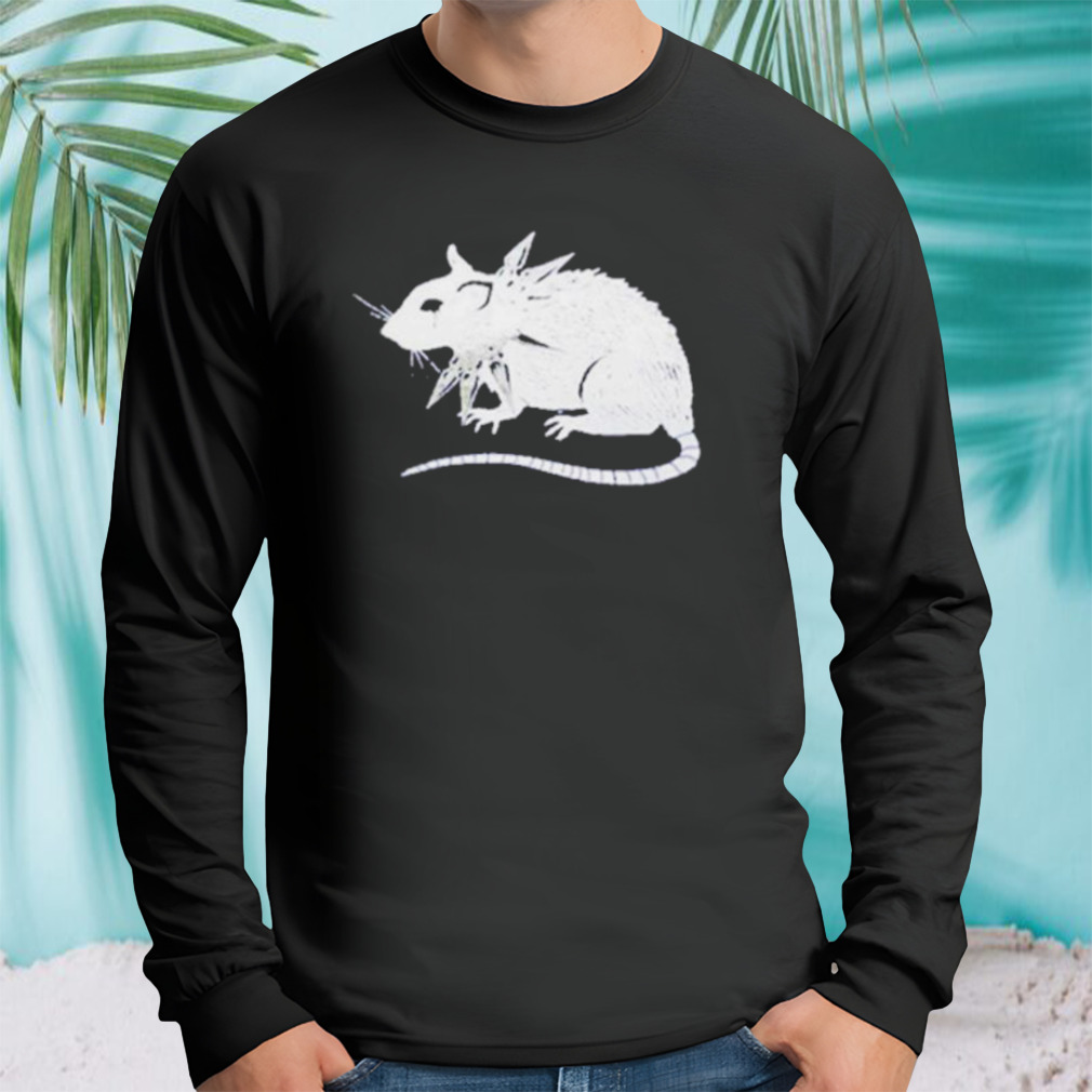Longsleeve tshirt