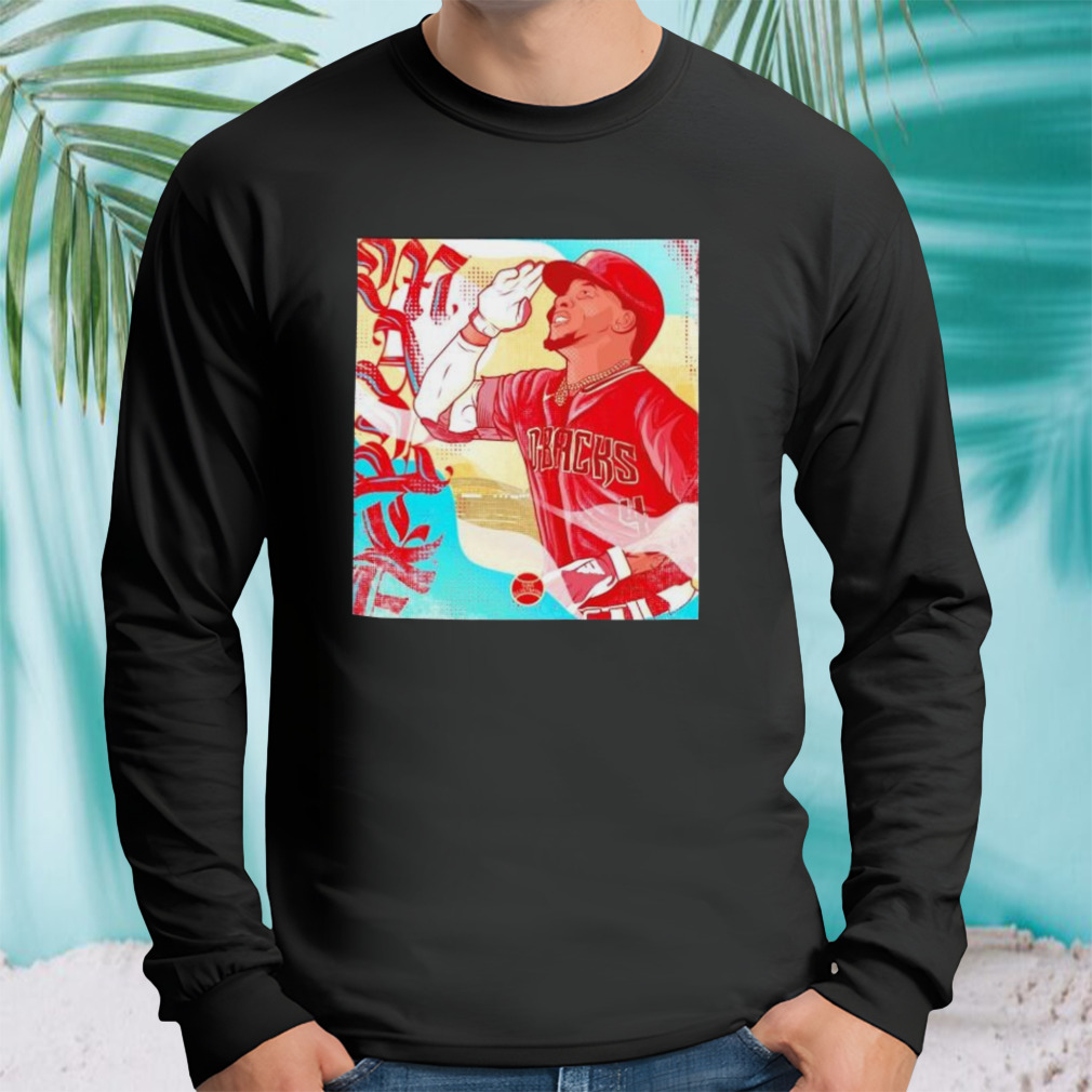 Longsleeve tshirt