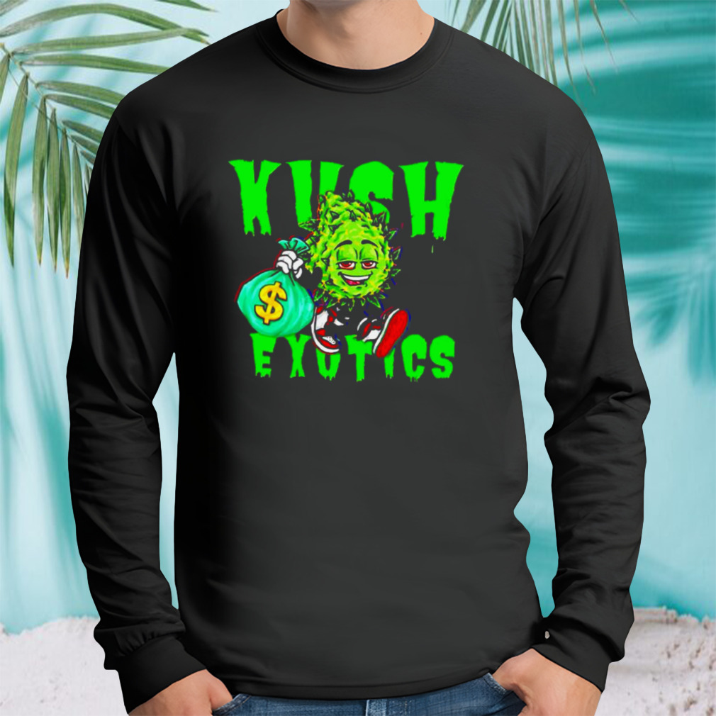 Longsleeve tshirt