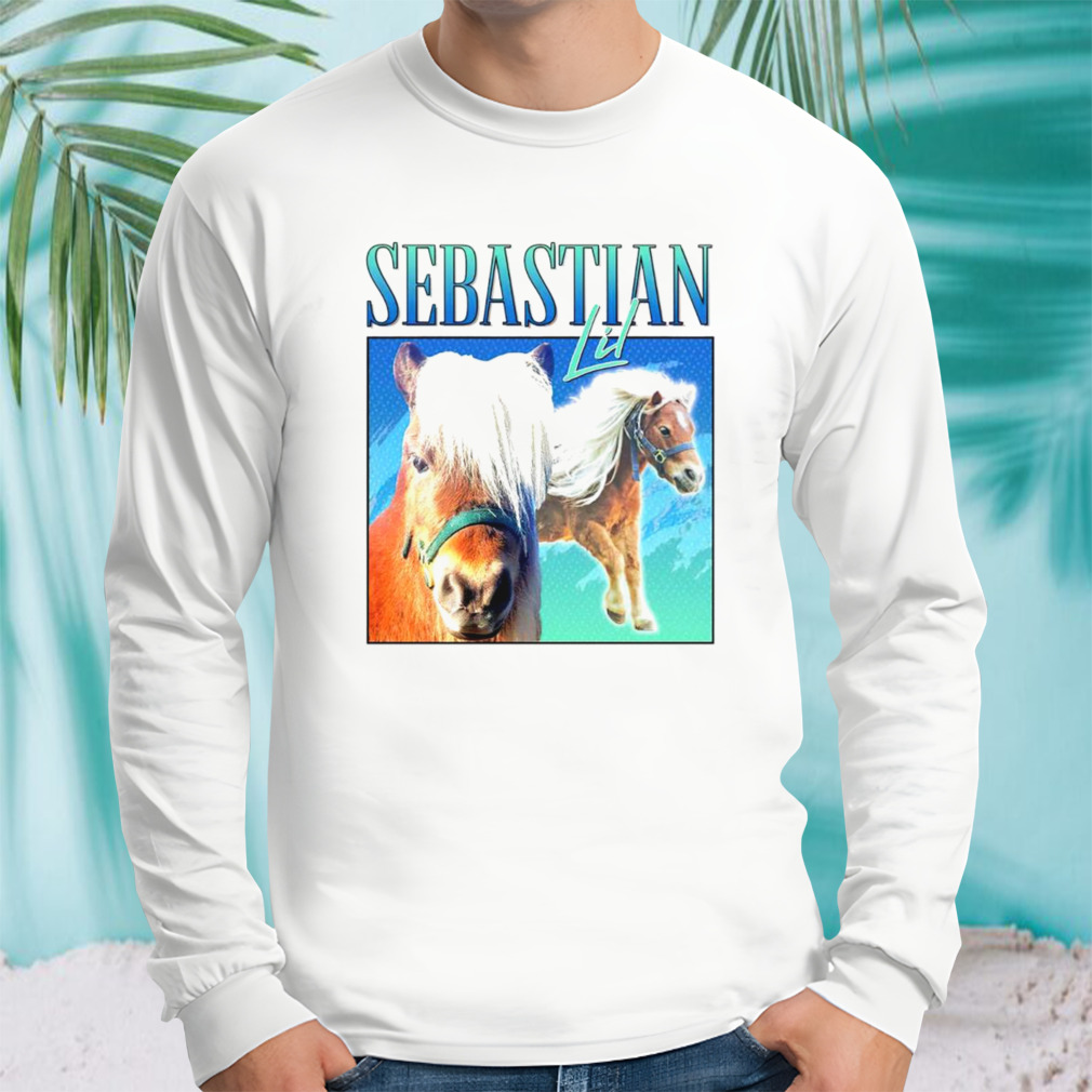 Longsleeve shirt