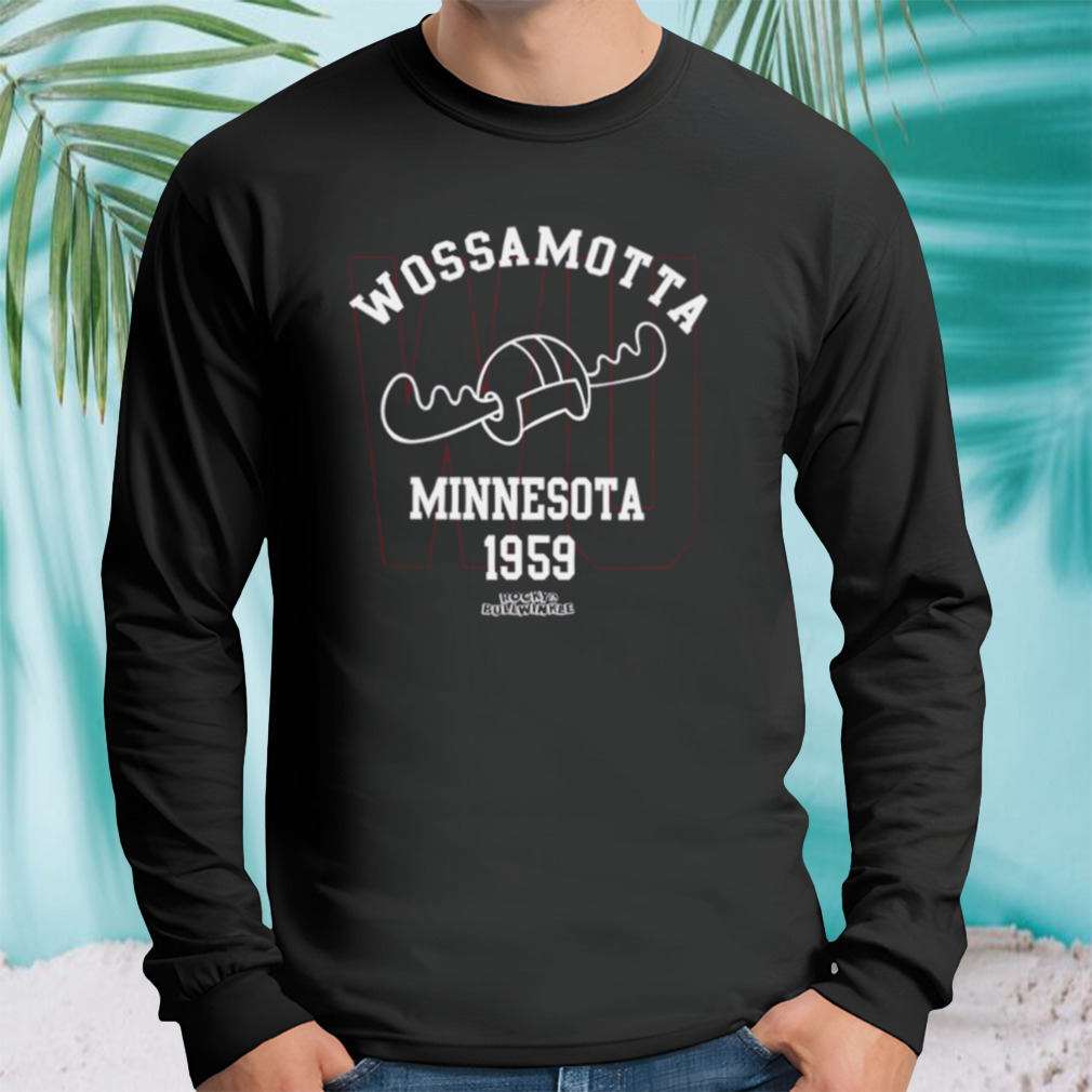 Longsleeve tshirt