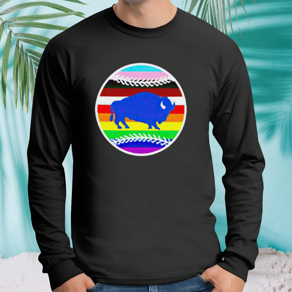 Longsleeve tshirt