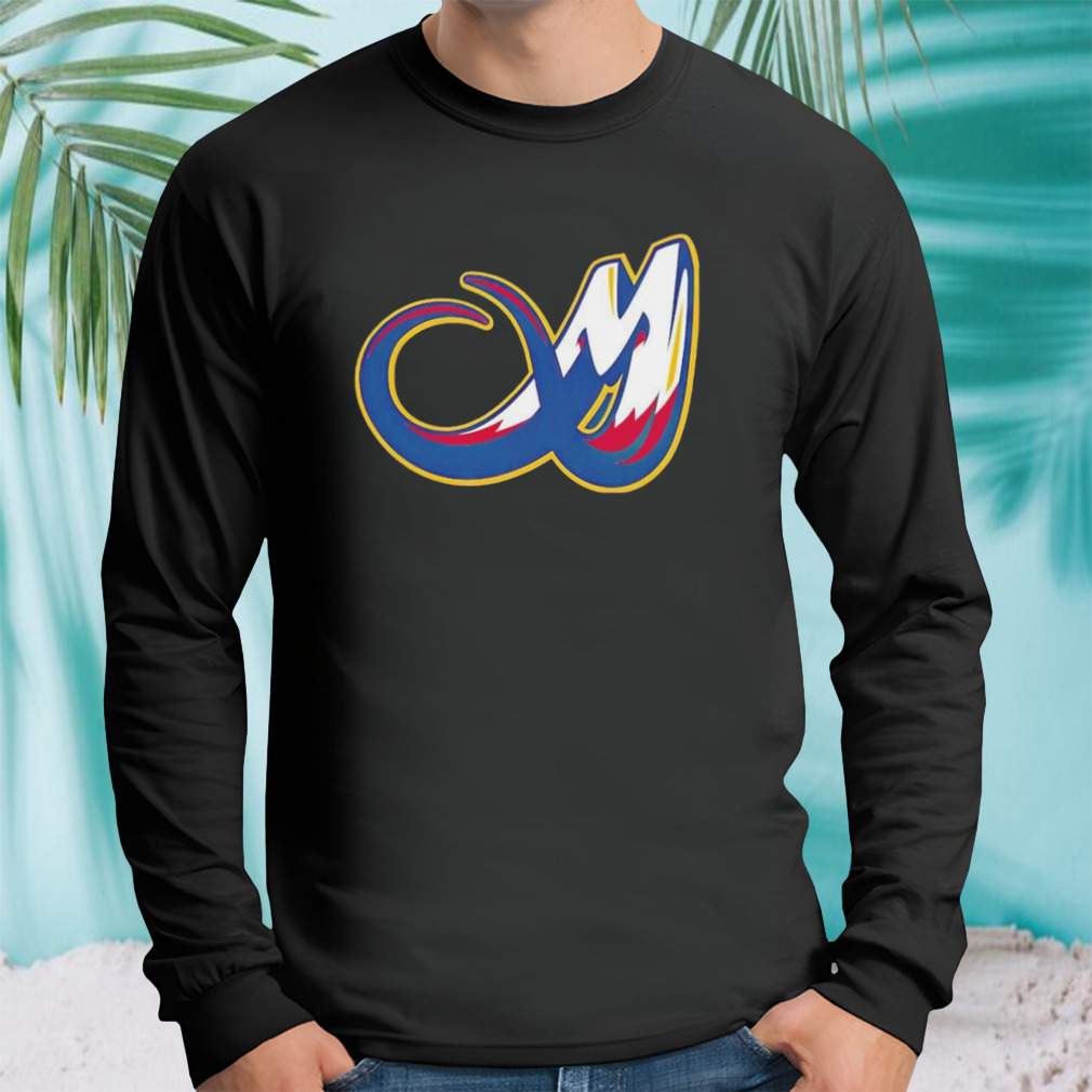 Longsleeve tshirt