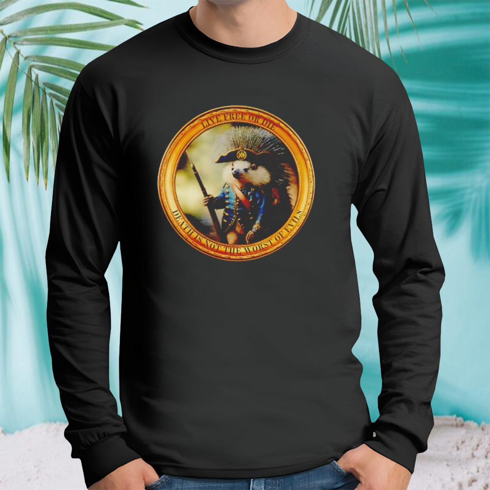 Longsleeve tshirt