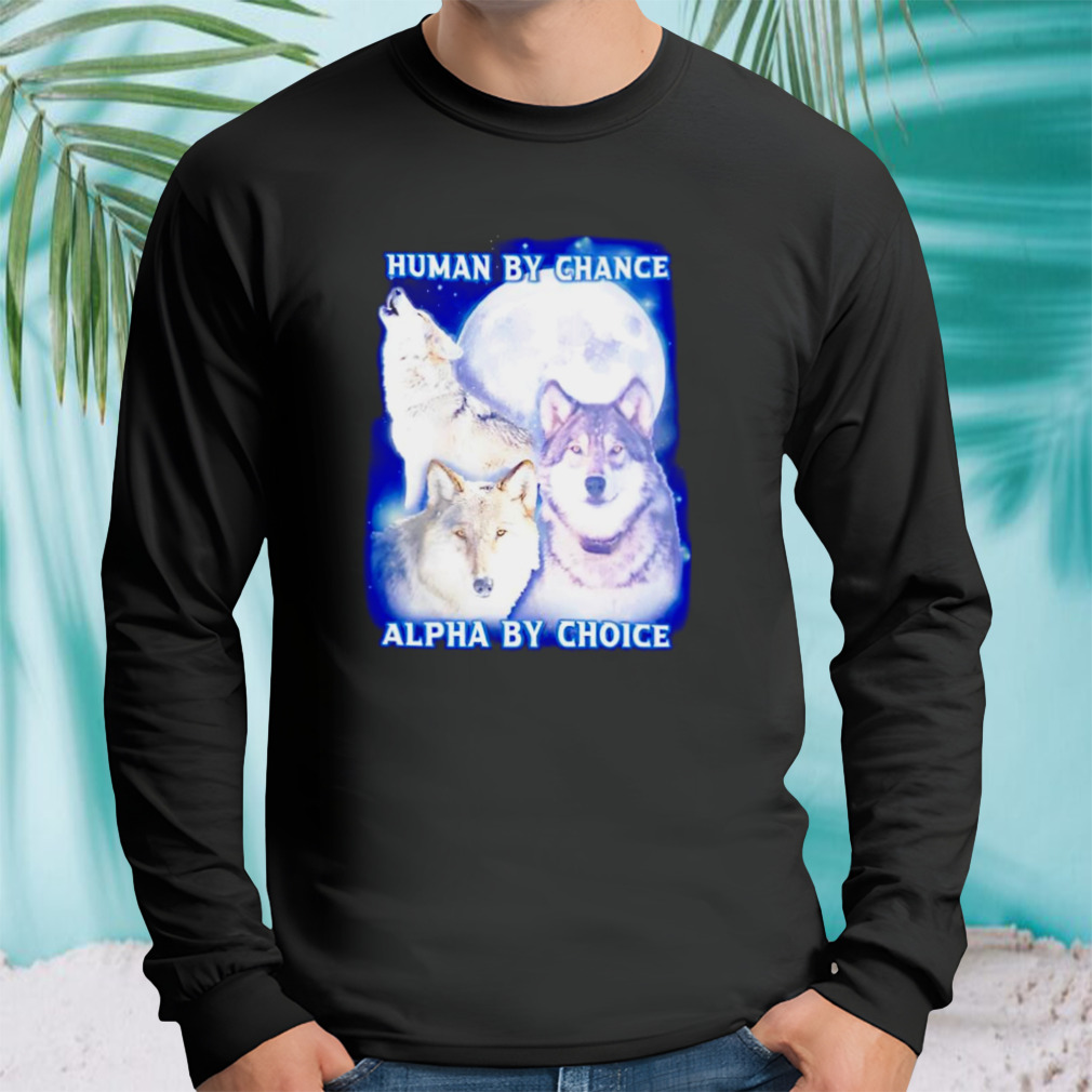 Longsleeve tshirt