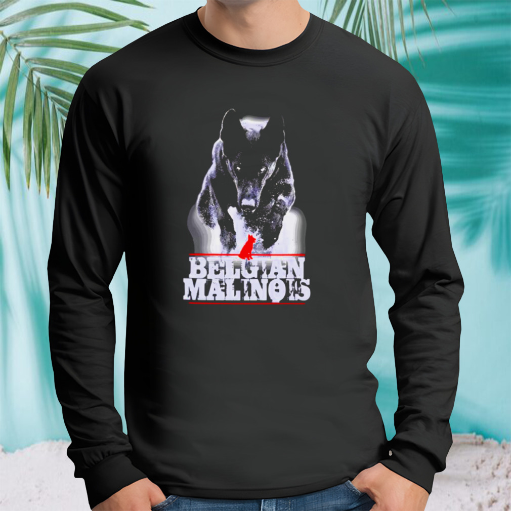 Longsleeve tshirt