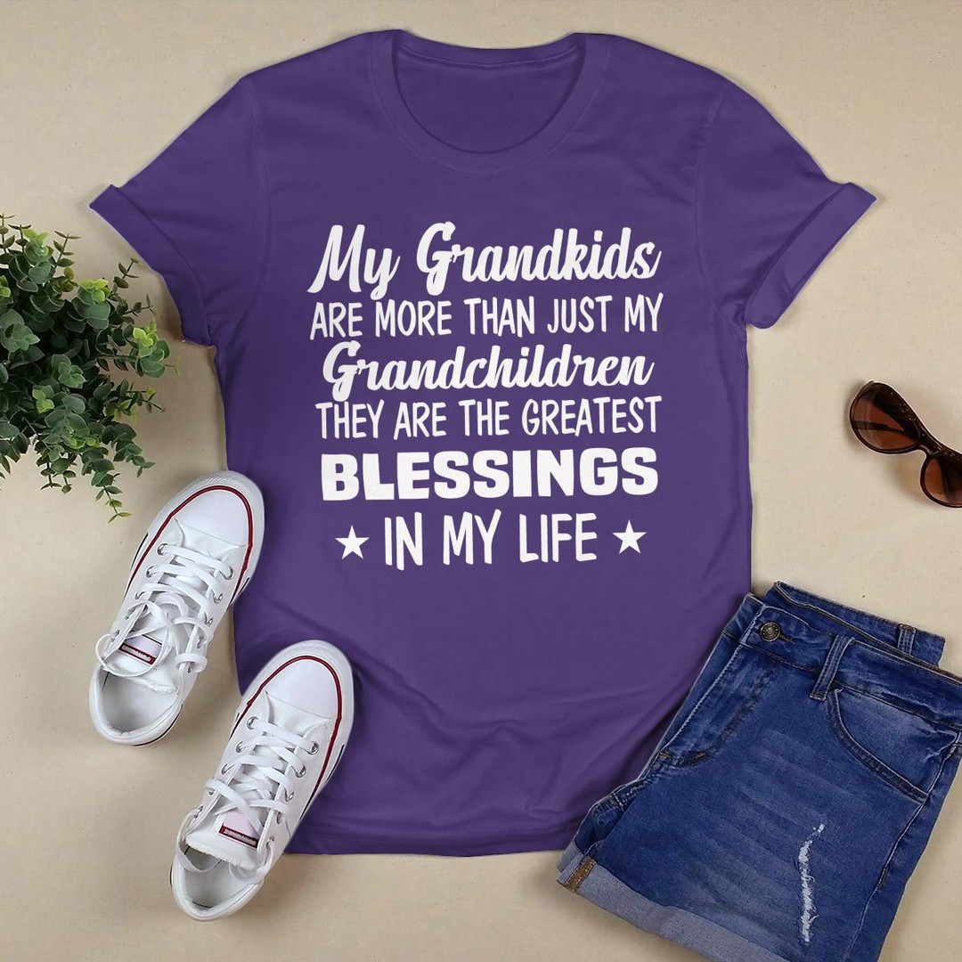 My Grandkids Are More Than Just My Grandchildren shirt