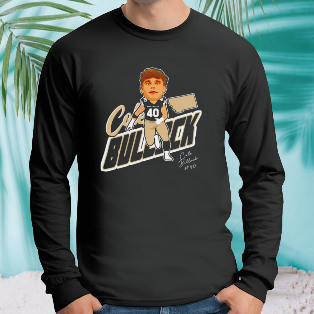 Longsleeve tshirt